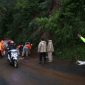 Petugas gabungan berusaha membuka akses jalan menuju Dieng yang tertutup longsor.