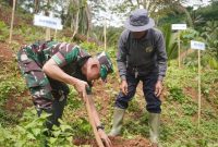 Kodim 0707/Wonosobo bersama Jagat Tunas Bumi (JATUBU) menanam puluhan ribu bibit pohon konservasi dan produktif di Desa Burat, Kecamatan Kepil, Kabupaten Wonosobo, Kamis (4/12/2025).