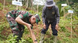 Kodim 0707/Wonosobo bersama Jagat Tunas Bumi (JATUBU) menanam puluhan ribu bibit pohon konservasi dan produktif di Desa Burat, Kecamatan Kepil, Kabupaten Wonosobo, Kamis (4/12/2025).