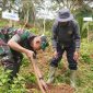 Kodim 0707/Wonosobo bersama Jagat Tunas Bumi (JATUBU) menanam puluhan ribu bibit pohon konservasi dan produktif di Desa Burat, Kecamatan Kepil, Kabupaten Wonosobo, Kamis (4/12/2025).