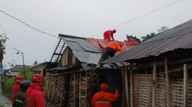 Petugas BPBD dan relawan bergotong royong memperbaiki rumah yang rusak di terjang angin puting beliung.