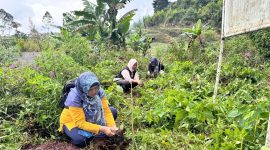 Organisasi perempuan di Kecamatan Kejajar menggelar kegiatan Meditasi Ekologi dan penanaman 1.000 pohon kopi.