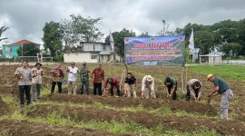 Panen bersama demplot Ubi Madu P4S Agri Damarjati dan KTNA Wonosobo di Kenteng, Kejiwan, Selasa (9/12/2025).