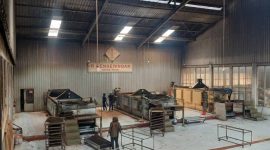 Pengolahan teh di pabrik tambi Wonosobo.