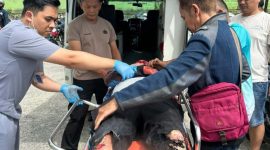 Seorang pekerja pengecatan tersengat listrik saat bekerja di gerai Alfamart Mlipak, Kabupaten Wonosobo. Peristiwa itu terjadi pada Sabtu (17/1/2026) siang.