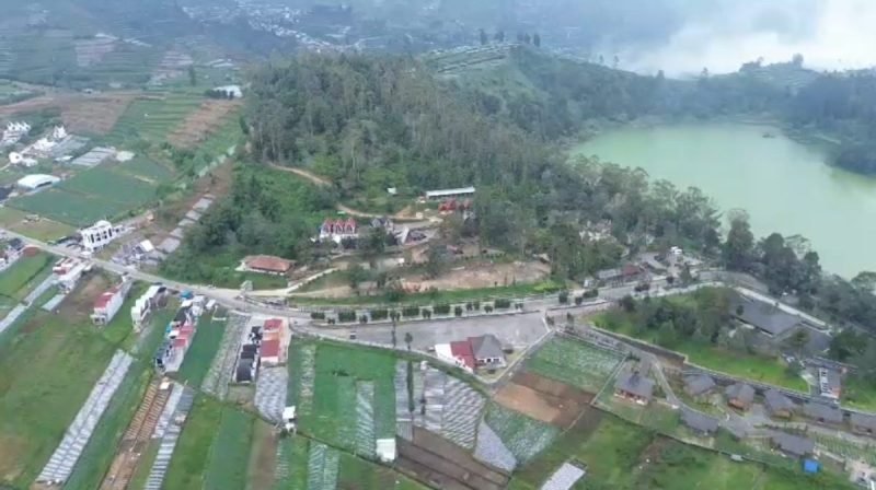 Lahan di Wonosobo.