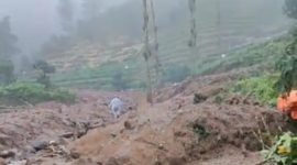 Kondisi longsor terjadi di perbukitan sebelah utara Desa Tieng, tepatnya di Desa Patak Banteng, Kecamatan Kejajar, Kabupaten Wonosobo, Jum'at (23/1/2026).