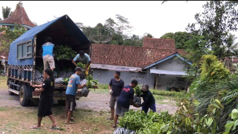 Jatubu menyalurkan bibit pohon ke sejumlah wilayah di Wonosobo untuk mencegah bencana alam.