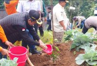 Bupati Afif Nurhidayat menanam pohon di Binangun, Watumalang dalam acara HPN Komunitas Jurnalis Wonosobo.