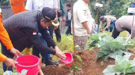 Bupati Afif Nurhidayat menanam pohon di Binangun, Watumalang dalam acara HPN Komunitas Jurnalis Wonosobo.
