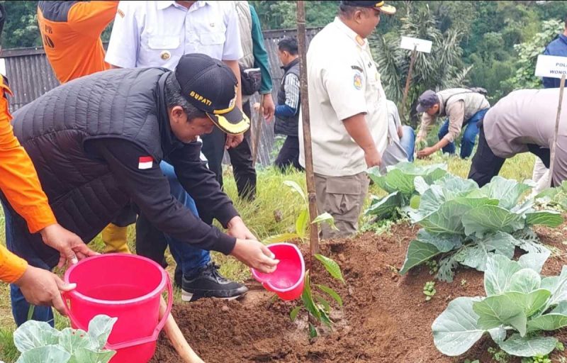 Bupati Afif Nurhidayat menanam pohon di Binangun, Watumalang dalam acara HPN Komunitas Jurnalis Wonosobo.