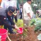 Bupati Afif Nurhidayat menanam pohon di Binangun, Watumalang dalam acara HPN Komunitas Jurnalis Wonosobo.