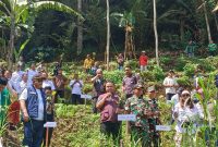 Gerakan menanam pohon Jatubu di Sukoharjo 