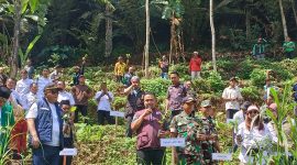 Gerakan menanam pohon Jatubu di Sukoharjo 
