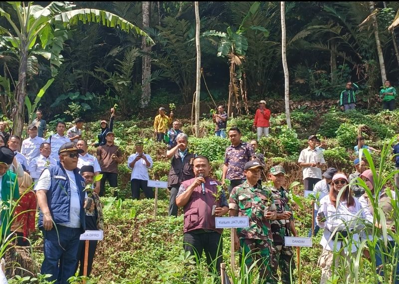 Gerakan menanam pohon Jatubu di Sukoharjo 