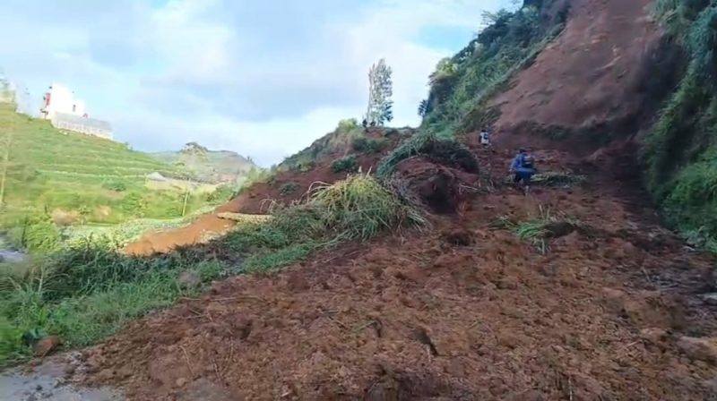 Longsor terjadi di Desa Campursari, Kecamatan Kejajar, Kabupaten Wonosobo, Selasa (10/3/2026) dini hari. Material tanah menutup ruas jalan dari Dusun Pulosari menuju Dusun Tempuran yang menjadi jalur penghubung Kecamatan Kejajar dengan Kecamatan Watumalang.