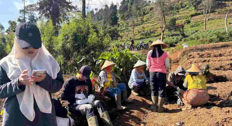 foto slider headline