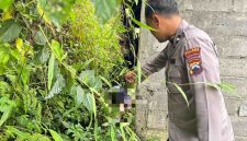 Petugas kepolisian melakukan olah TKP penemuan mayat.