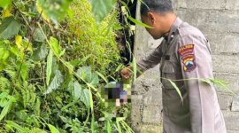 Petugas kepolisian melakukan olah TKP penemuan mayat.