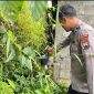 Petugas kepolisian melakukan olah TKP penemuan mayat.