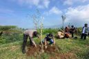 Sebanyak 200 bibit pohon damar kembali disiapkan untuk ditanam di kawasan Dusun Cengklok, Desa Butuh, Kecamatan Kalikajar.