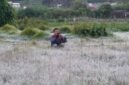 Embus Es muncul di kawasan Dataran Tinggi Dieng, Jawa Tengah.