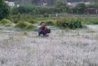Embus Es muncul di kawasan Dataran Tinggi Dieng, Jawa Tengah.