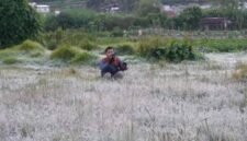Embus Es muncul di kawasan Dataran Tinggi Dieng, Jawa Tengah.