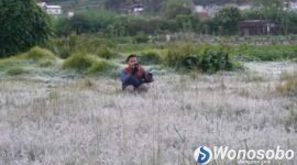 Embus Es muncul di kawasan Dataran Tinggi Dieng, Jawa Tengah.
