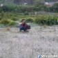 Embus Es muncul di kawasan Dataran Tinggi Dieng, Jawa Tengah.