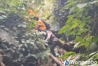 Tim SAR gabungan saat menyusuri Gunung Bismo mencari dua remaja yang hilang misterius.