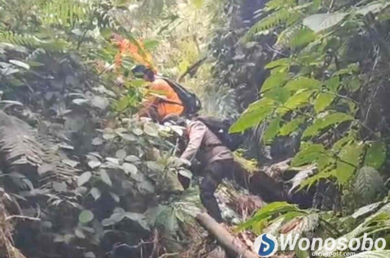 Tim SAR gabungan saat menyusuri Gunung Bismo mencari dua remaja yang hilang misterius.