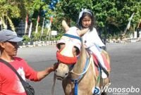 Lavanya Zeela Quintessa tampil ceria menunggangi kuda di Pendopo Kabupaten Wonosobo, Jumat (24/7/2026)