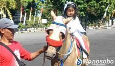 Lavanya Zeela Quintessa tampil ceria menunggangi kuda di Pendopo Kabupaten Wonosobo, Jumat (24/7/2026)