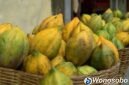 Carica, buah asli asal dataran tinggi Dieng.