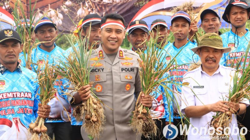Polres Wonosobo panen bawang putih sekaligus menggelar penanaman serentak di Desa Serang, Kecamatan Kejajar.
